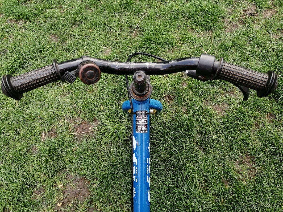 Odrážedlo/cykloodrážedlo Azub Fík - 13