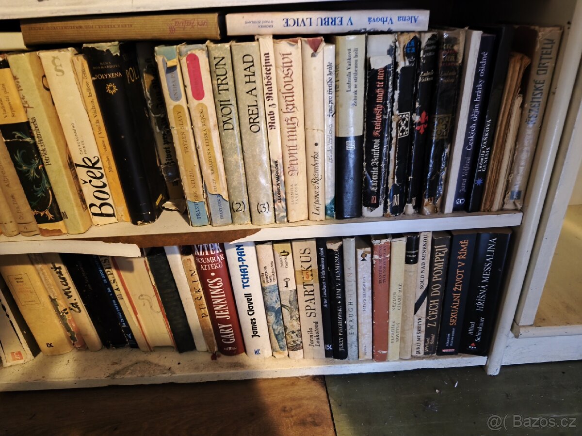 Sbírka knih - 13