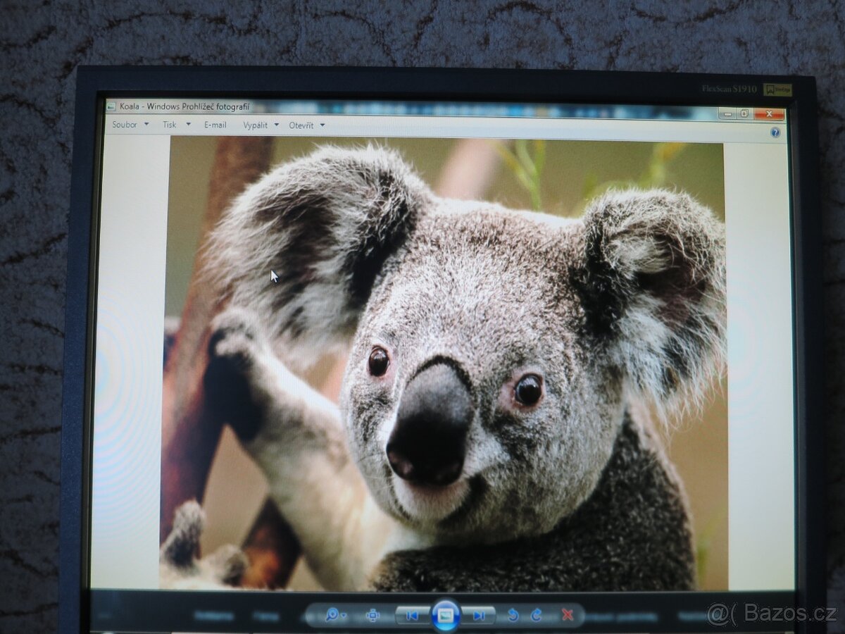 Monitor Eizo FlexScan S1910 - 13