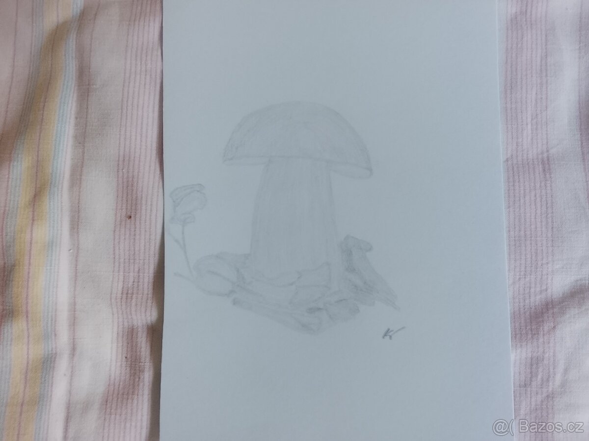 Obrázky obrazy kresby kreslení - 13