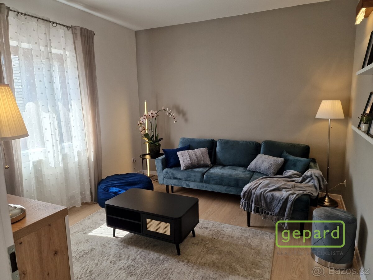 Prodej rodinného domu s prosperujícím ubytováním Airbnb – Ka - 13