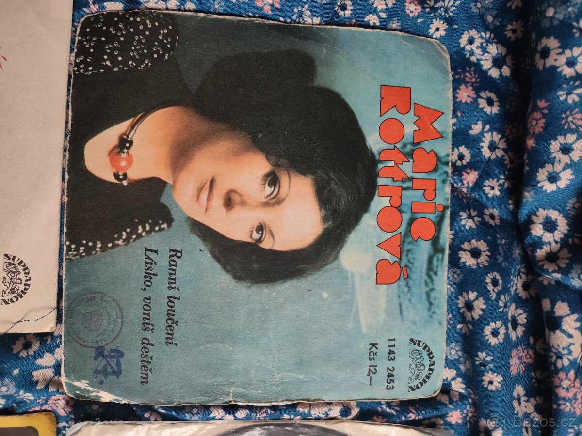 Vinylové desky - 13