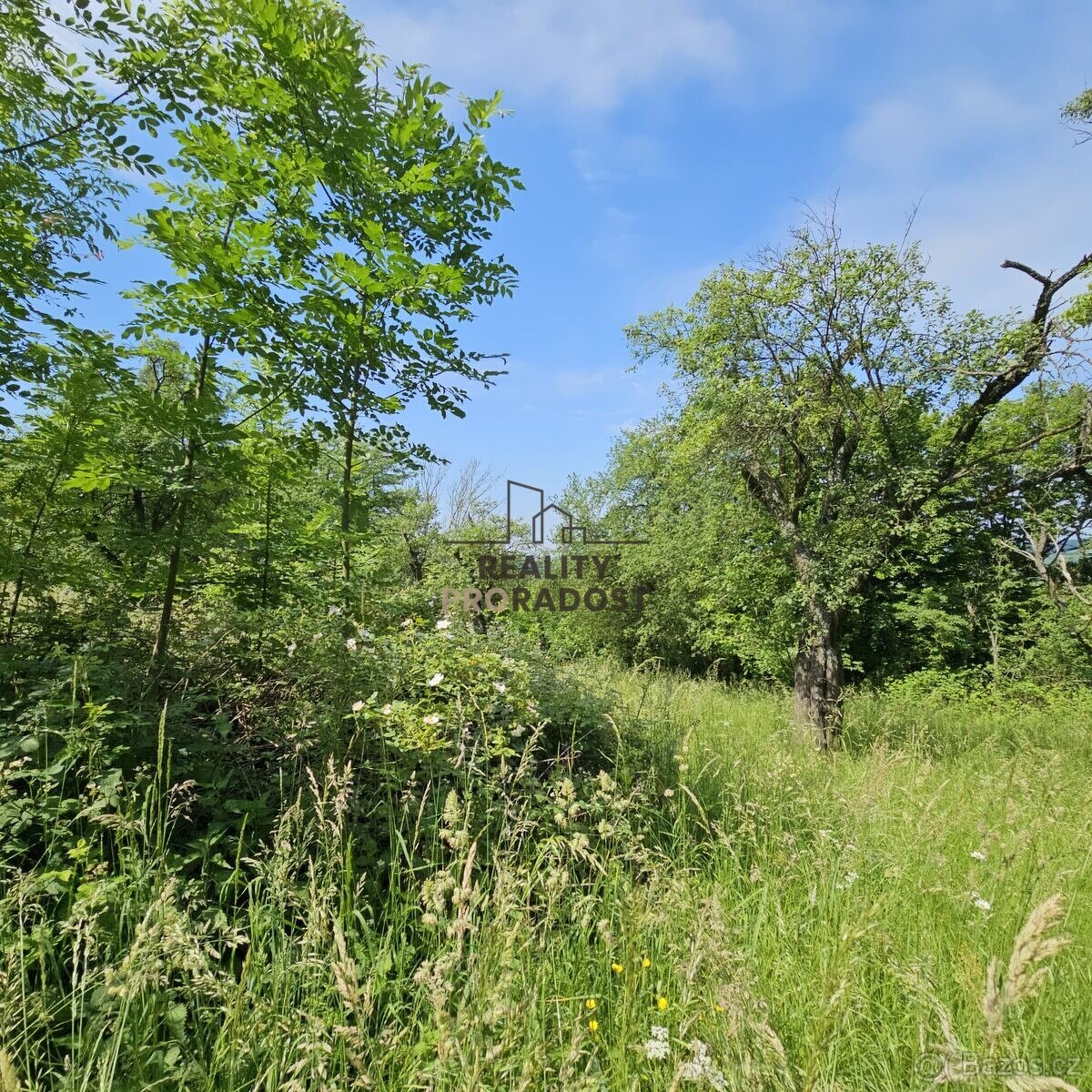 Prodej ovocného sadu 4 253 m2 v Koryčanech - 13