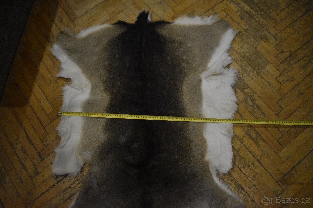 Kožešina daněk 2 - 13