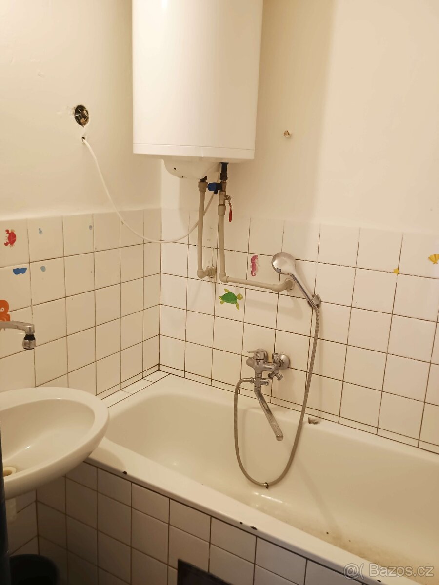 3+1 Lhenice, Netolická ul. 25 km od ČB - 13