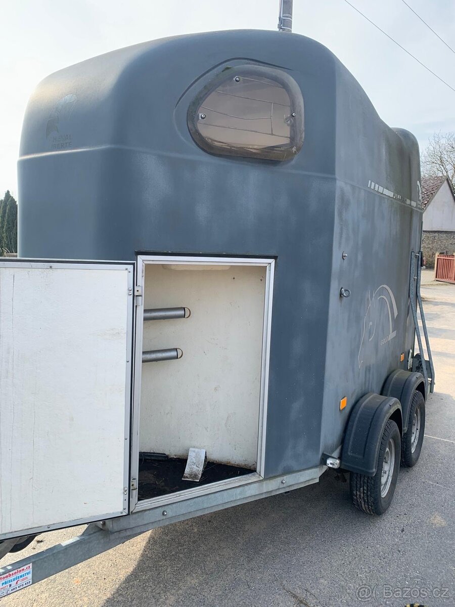 Auto s přívěsem na koně - 13