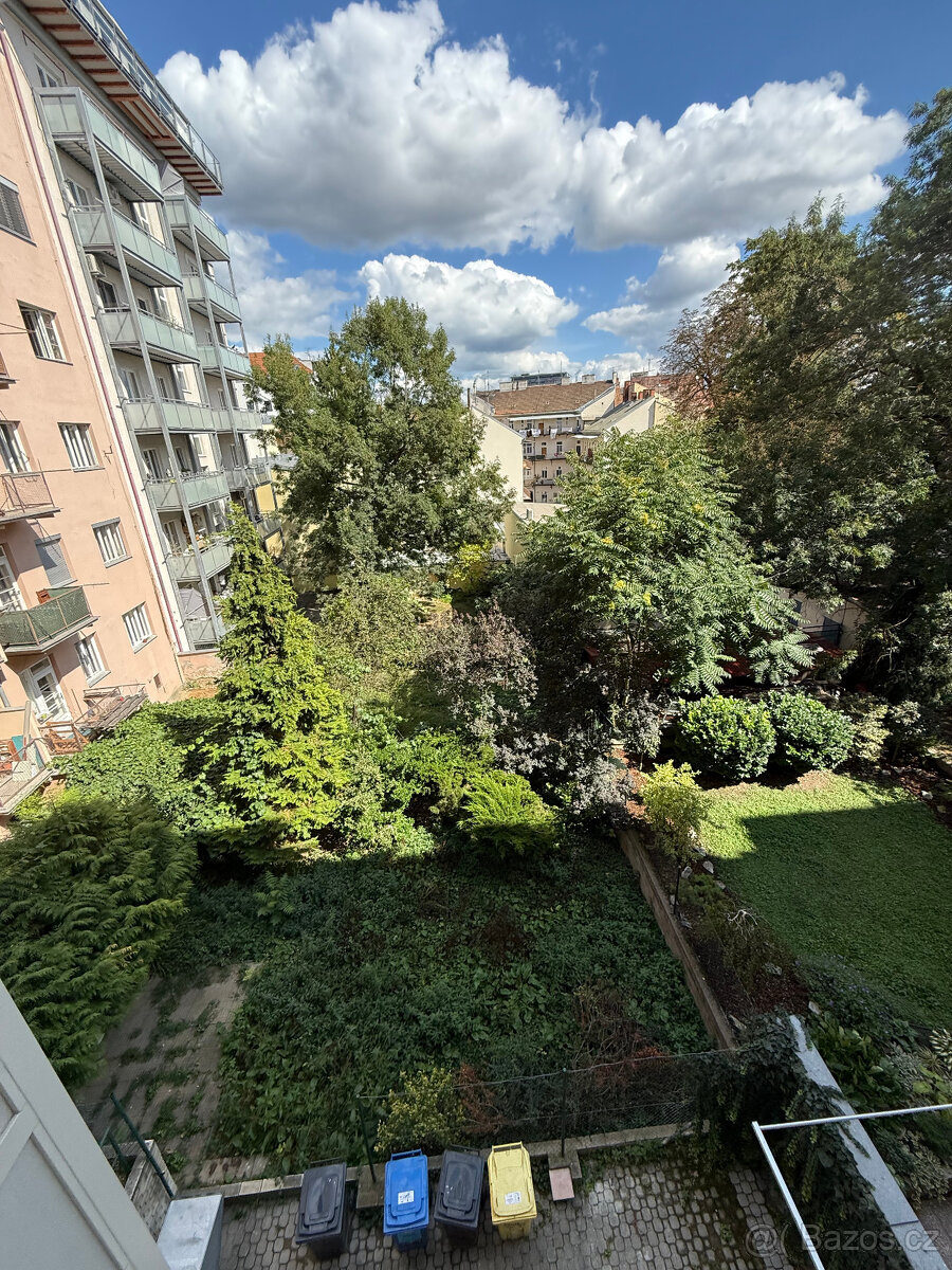 2+1 na ulici Mášova, po částečné rekonstrukci - 13