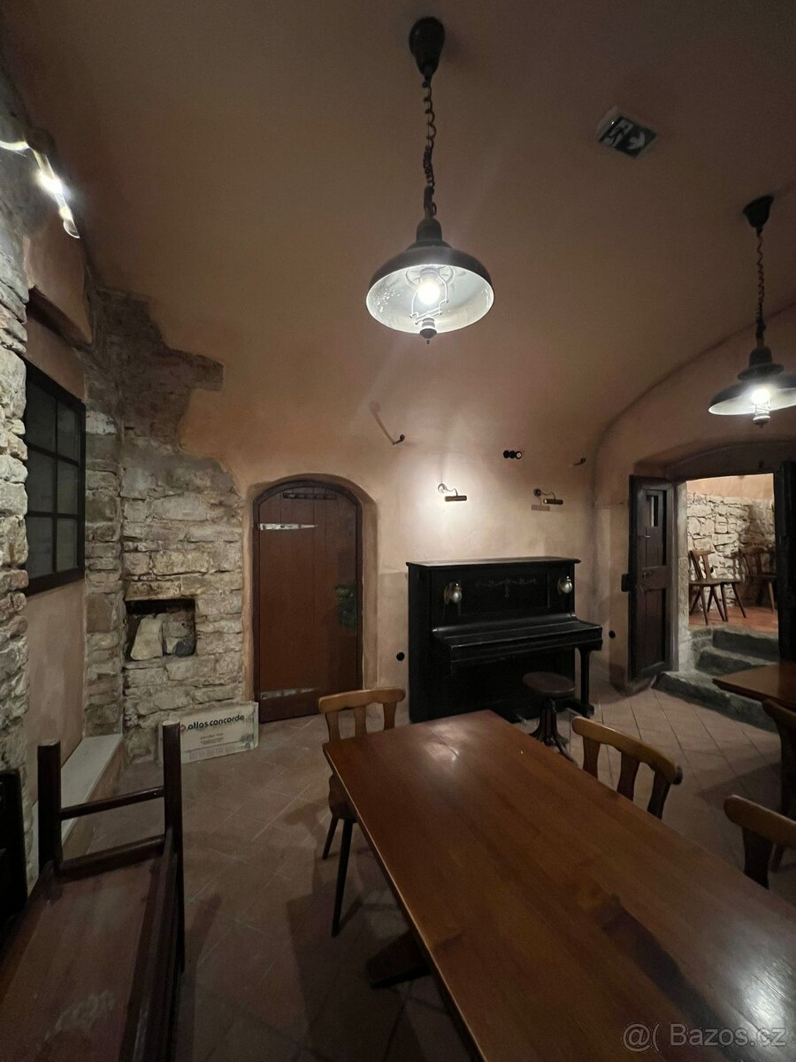 Prodej komerčního prostoru Praha 1 - 13