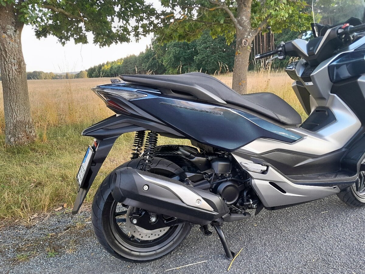 Honda Forza 300i ABS - 13