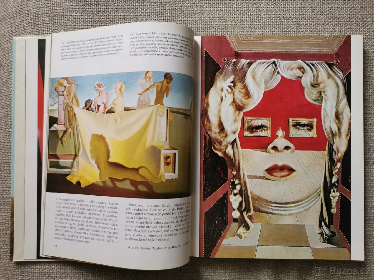 Dějiny umění - 13