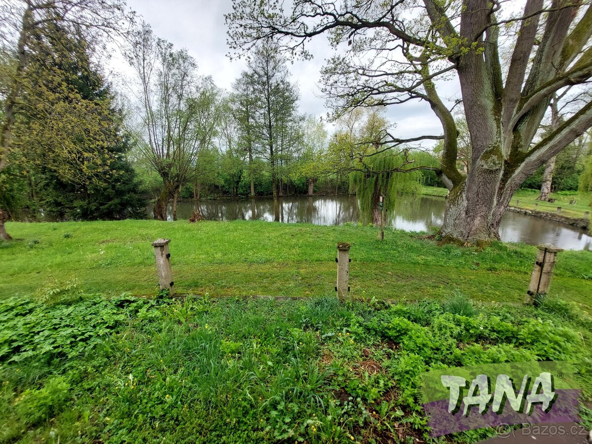 Prodej podílu o velikosti 1/2 - Zemědělská usedlost v Českém - 13