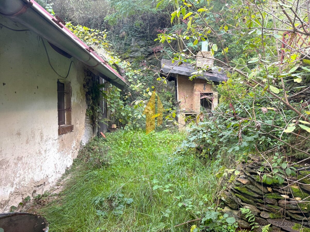 Prodej rodinného domu se zahradou v obci Bošice u Svojšic, 4 - 13