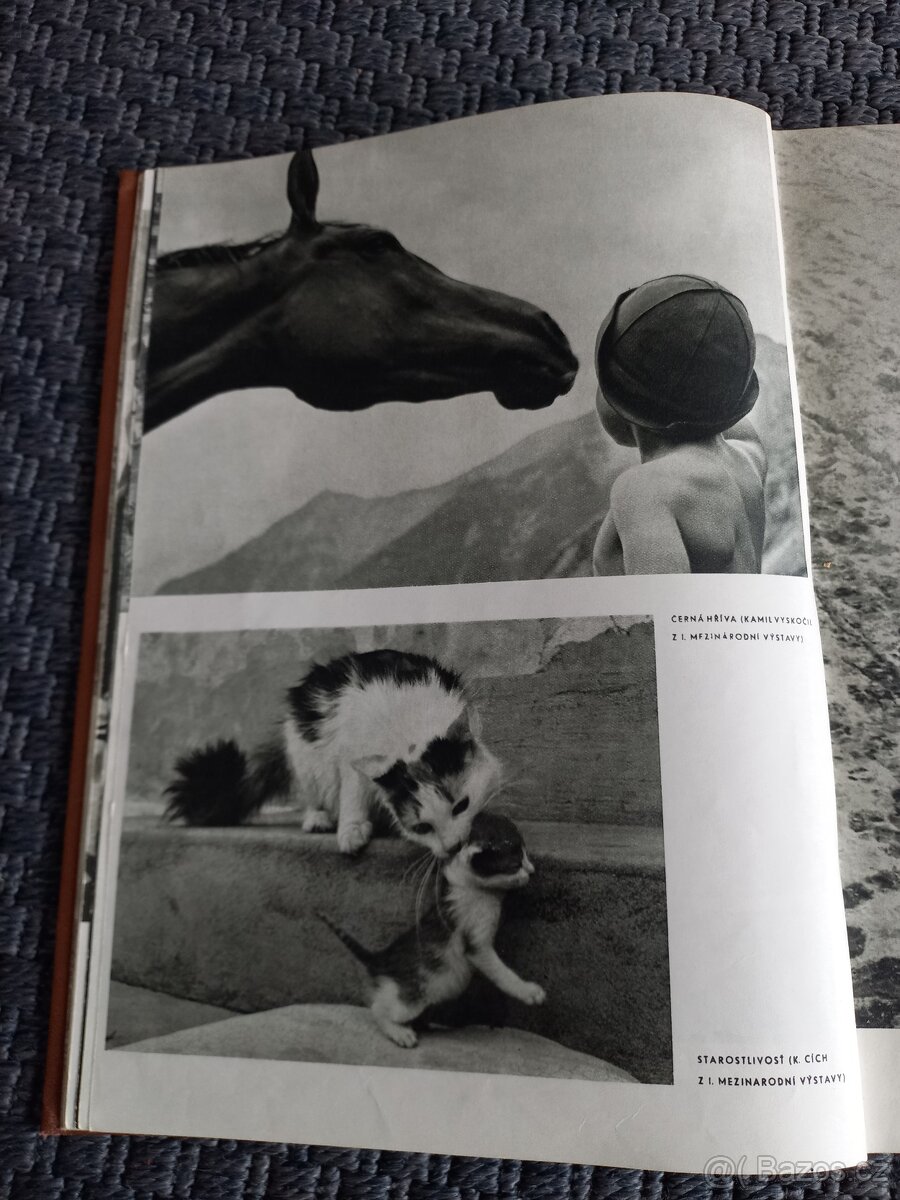 Československá fotografie 1959 - 13