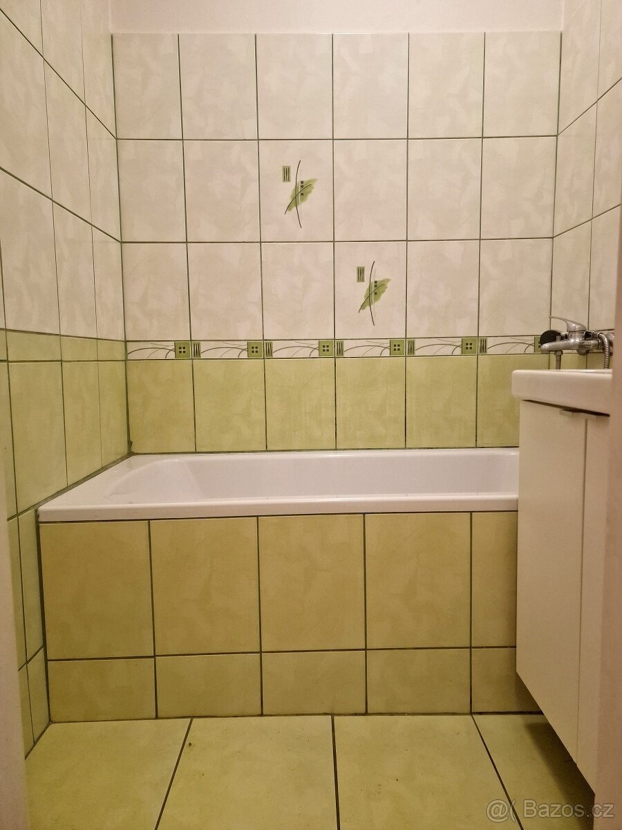 Pronájem 1+1 Ostrava centrum, Jindřichova ulice - 13