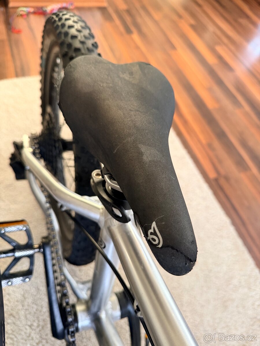 Early Rider Seeker 20” - 13