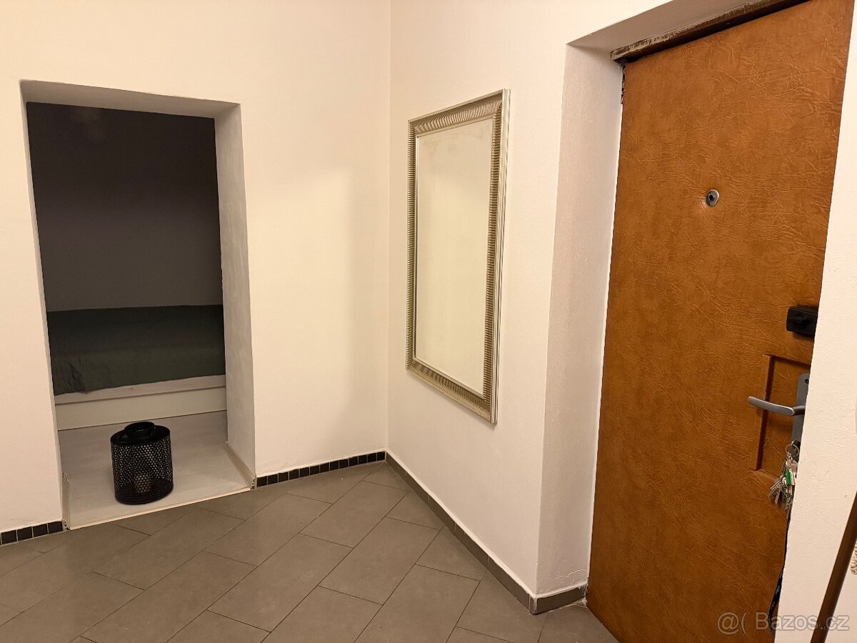 3+1 k pronájmu - 13