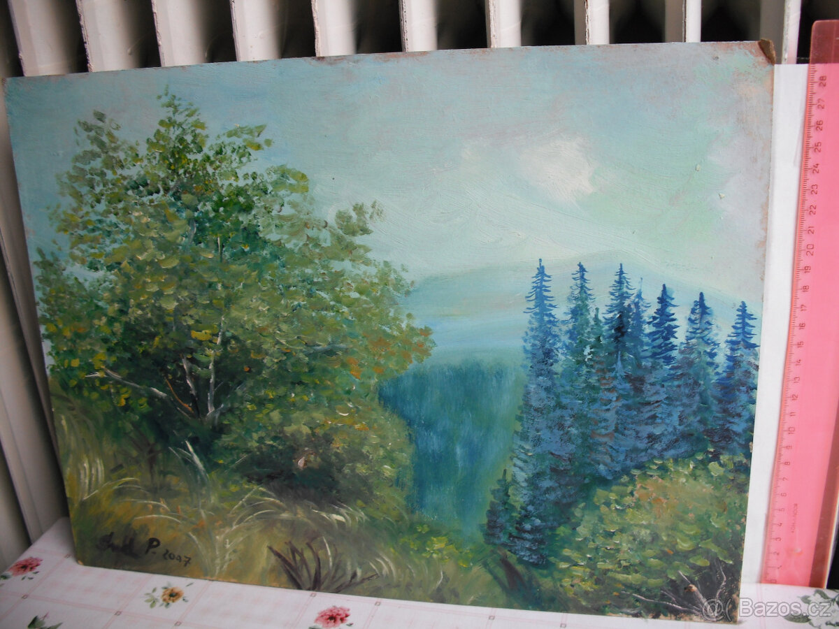 Obrazy z nálezu - 13