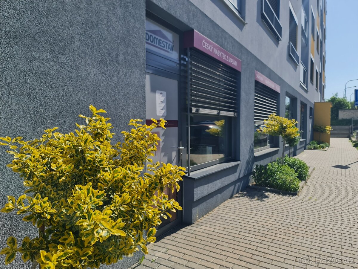 Prodej parkovacího stání Brno Turgeněvova 3 místa - 13