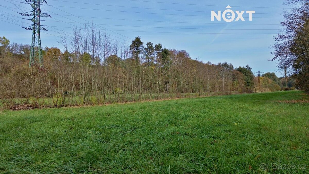 Pronájem pozemek Louky, 11117㎡ - 13