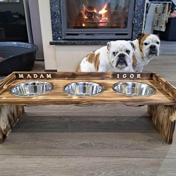 Dog bar - 13