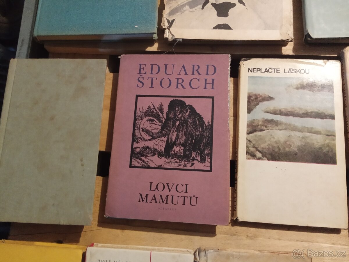 Knihy 50. - 70. léta - 13