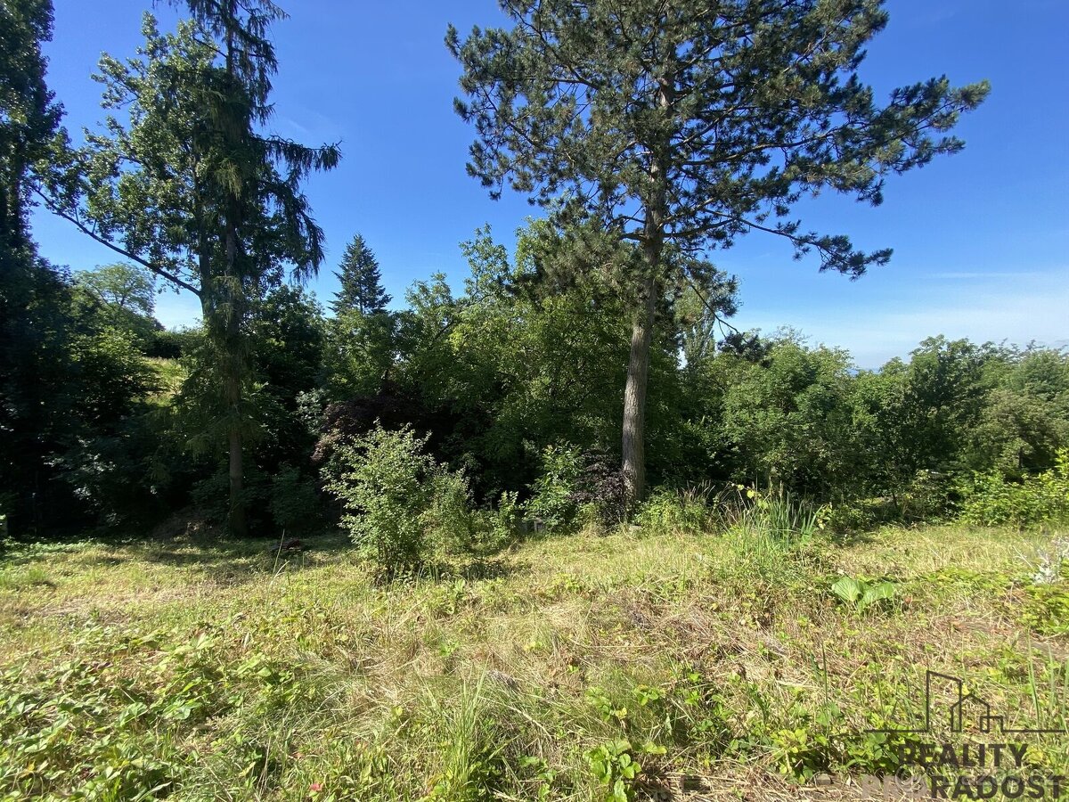 Prodej rekreační chaty s pěkným pozemkem, Olomouc, Droždín. - 13