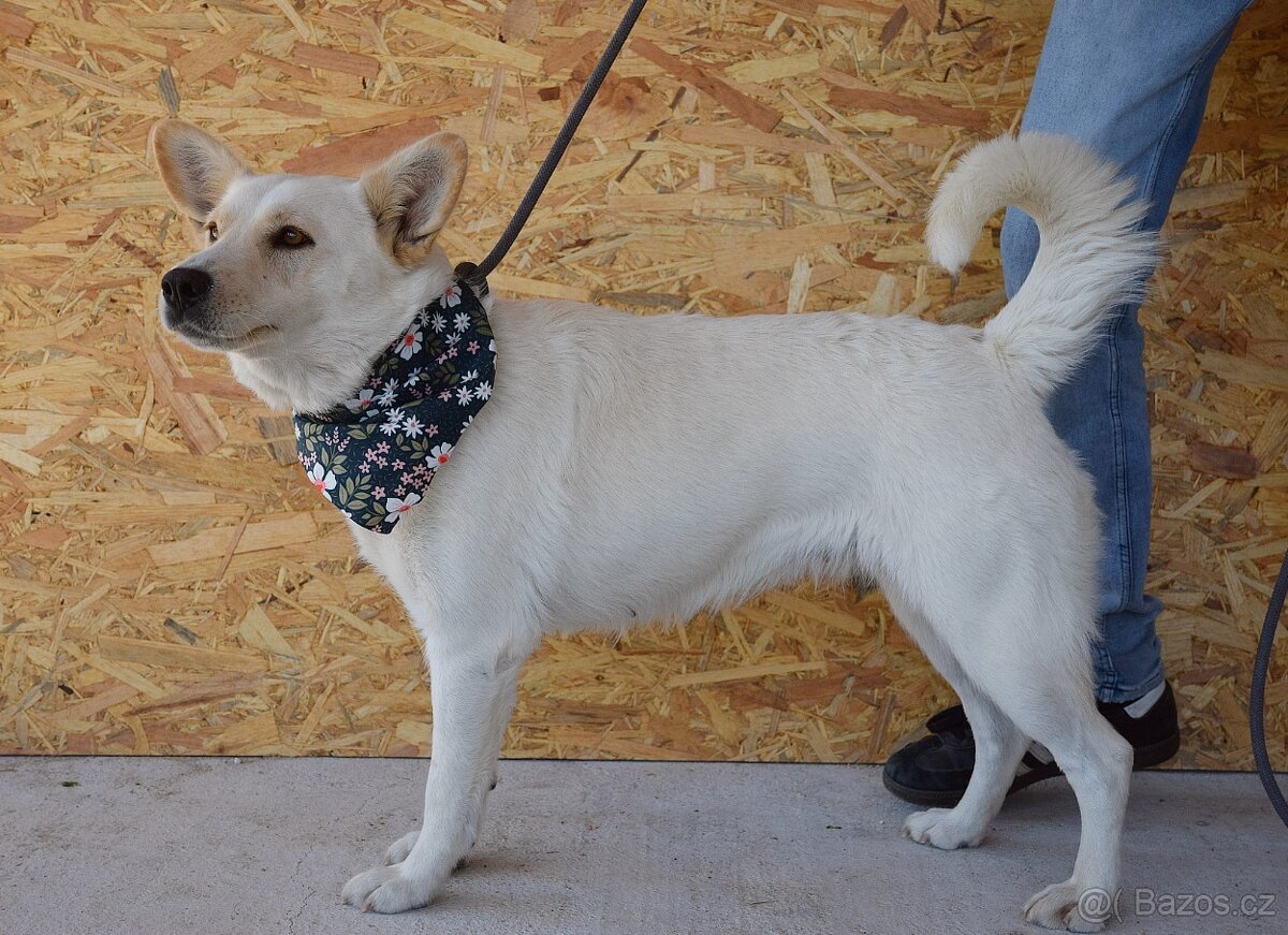 🌸 Zaira – veselá parťačka do života 🌸 - 13
