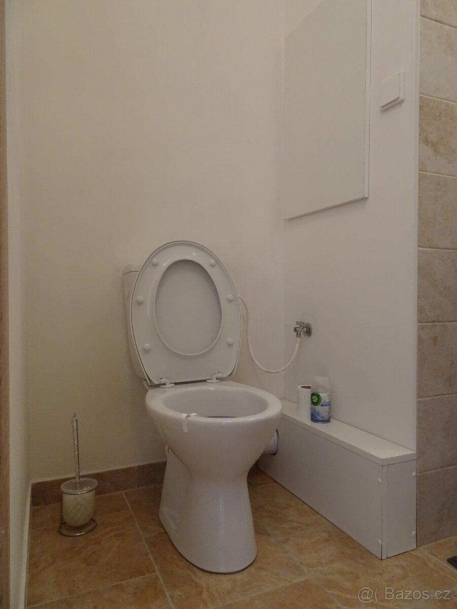 Pronájem slunného bytu 2+1 - 13