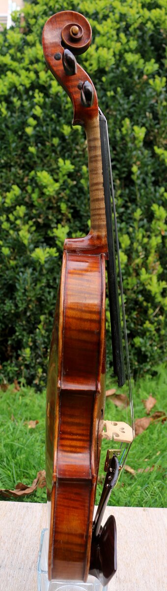 7/8 Špičkový německý nastroj z roku 1898 Wolf Brothers - 13