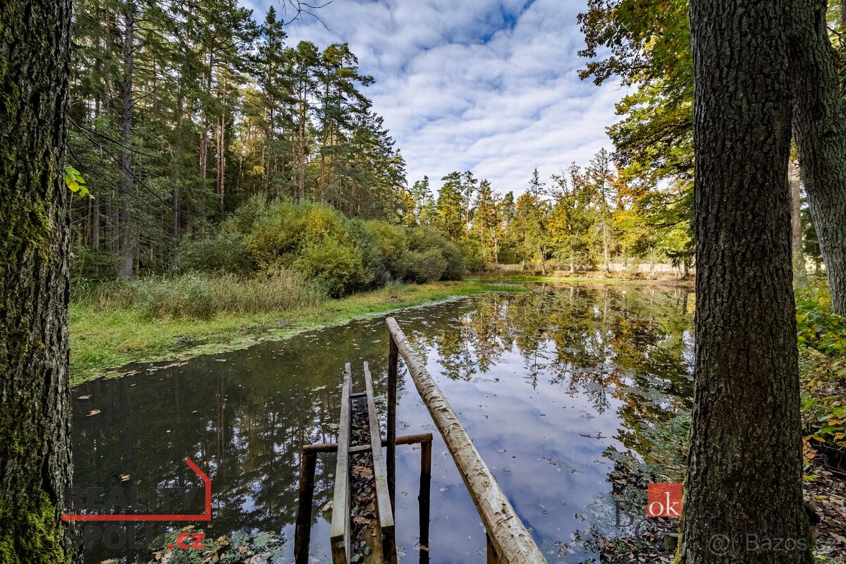 Prodej, pozemky/rybník, 64790 m2, Žíteč, Chlum u Třeboně, Ji - 13