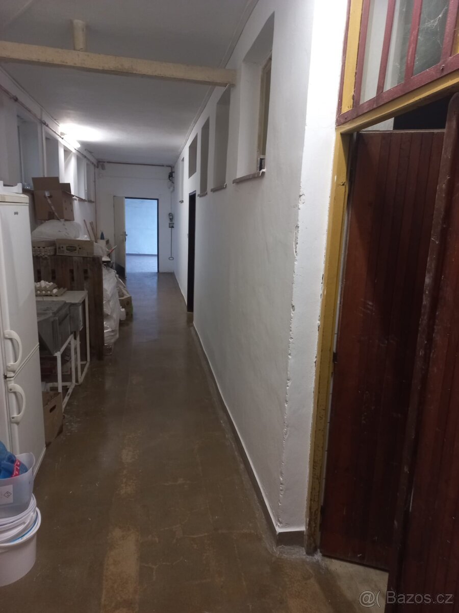 Pronájem prostor pekárny s kompletním vybavením (Svratouch) - 13