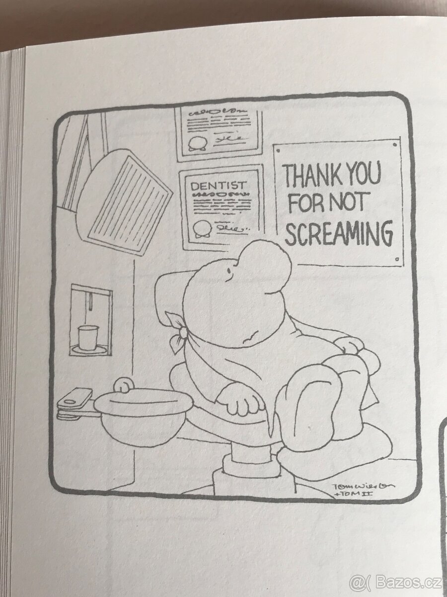 Ziggy - sada pěti komiksových knih s legendární postavičkou - 13