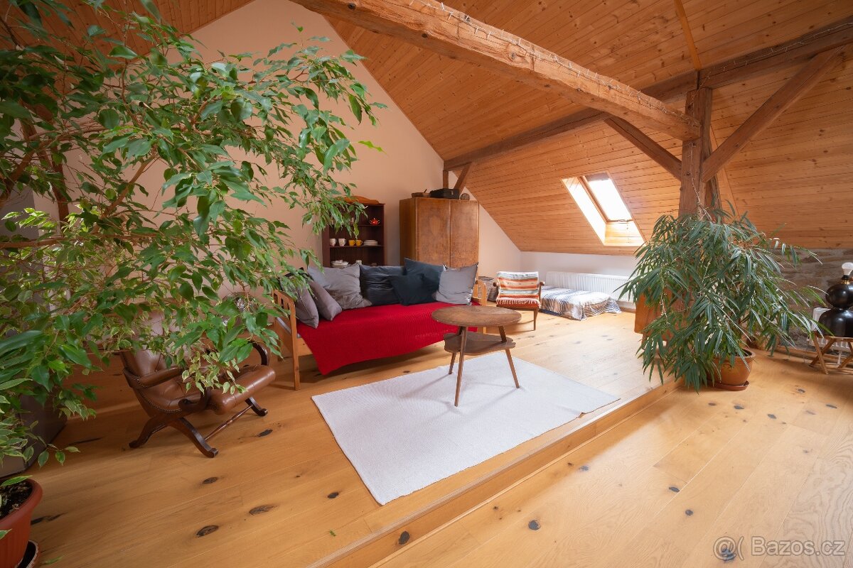 CHALUPA NA MÍSTĚ, KDE SE BĚŽNĚ NEPRODÁVÁ – ŠUMAVA - 13