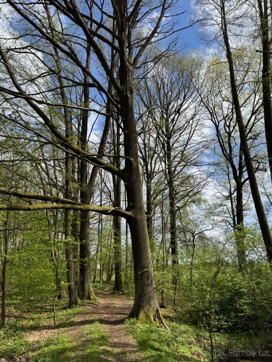 Prodám pozemky v katastrálním území Mníšek - 13