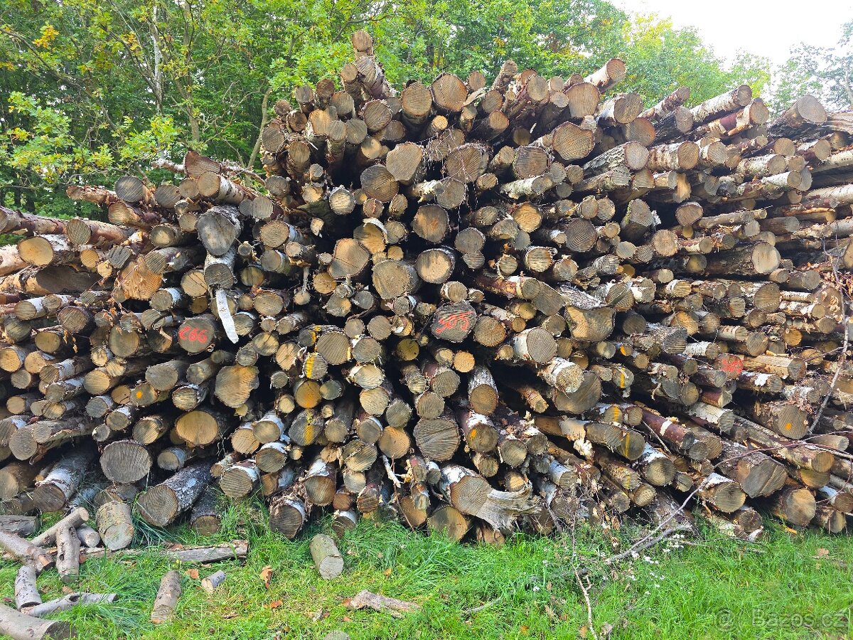 Palivové dřevo - 13