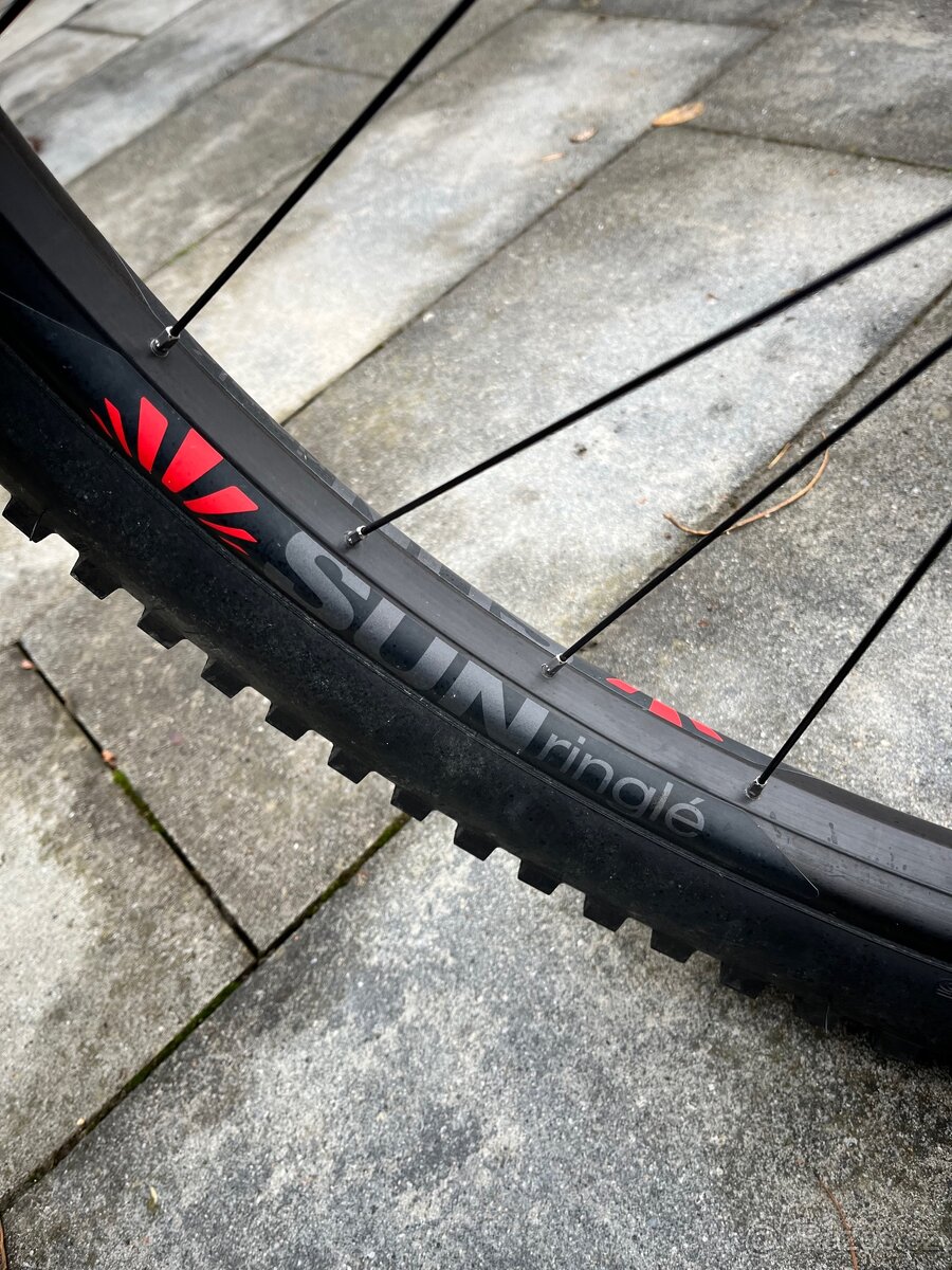 Radon Render 8.0 CX 625 - 13