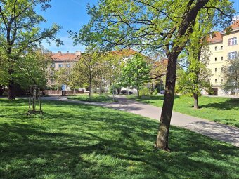 Prodej nemovitosti 1+kk, 29,2 m2, Praha 4 - Nusle. - 13