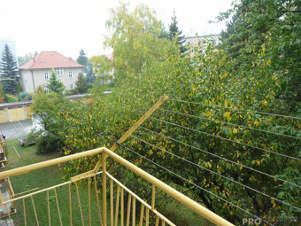 2+1 s balkonem Olomouc Mozartova - 13