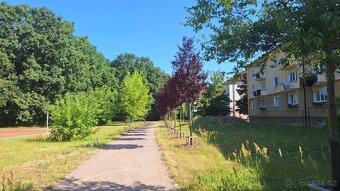 Pronájem bytu 2+1 , 65 m2 , balkon, Sokolovská 2392, Pardubi - 13