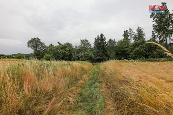 Prodej pole, 11043 m², Svárov - 13