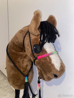 Hobby horse - 13