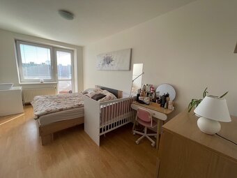 Pronájem prostorného bytu 3+1 Olomouc, Mošnerova - 13