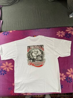 Pit Bull , Hooligan - 13