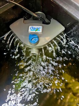 Akvárium INVITAL 60L. S rybičkama a filtrem Oase Bioplus 100 - 13