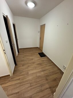 Nabízím pronájem bytu 2+1 Nejdek - 13