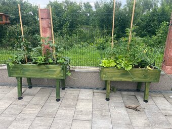 Balkonove kvetinace - 13