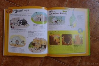Malá encyklopedie rekordů - 13