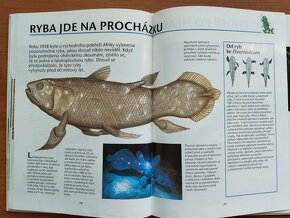 Dětské knihy (od r. 1967) a encyklopedie - 13