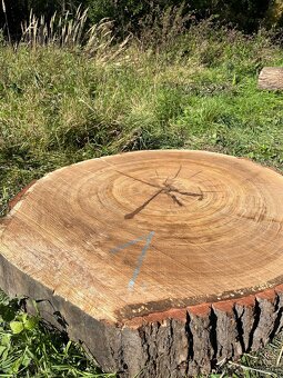 Dubové koláče - 13