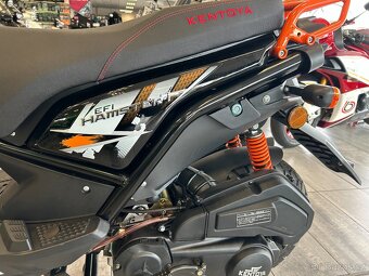 Kentoya Hamster 1254T 2026 - 13